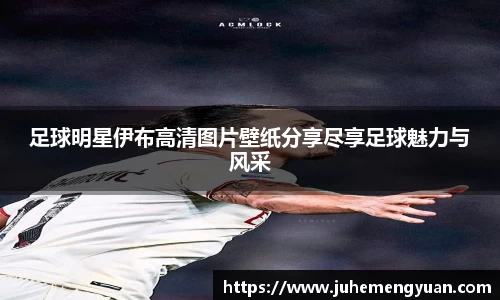 足球明星伊布高清图片壁纸分享尽享足球魅力与风采